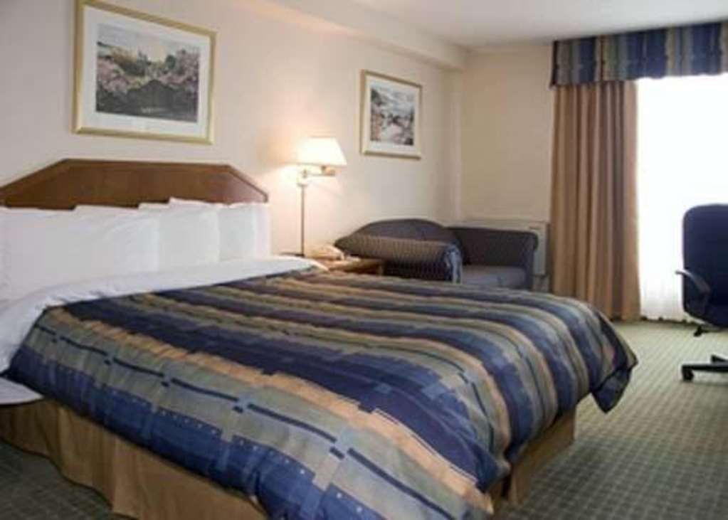 Four Points By Sheraton Toronto Airport East Habitación foto